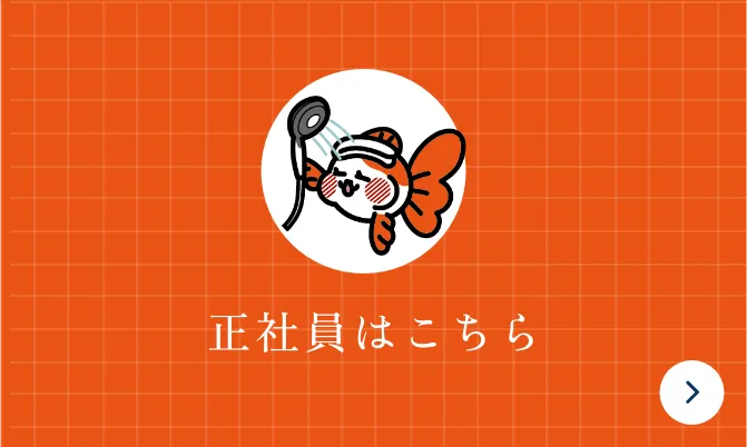 正社員はこちら